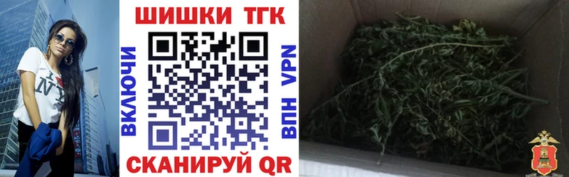 МЕФ Магас