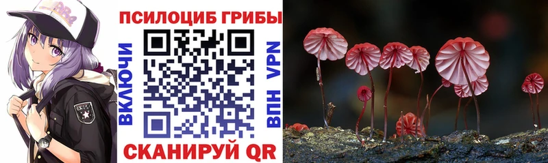 Галлюциногенные грибы Psilocybe  omg ONION  Магас 